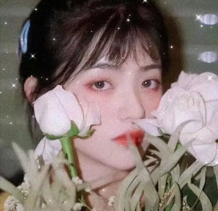 时间的桥梁